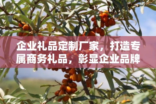 企业礼品定制厂家，打造专属商务礼品，彰显企业品牌魅力