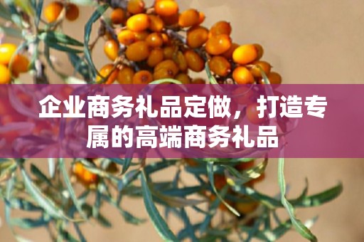 企业商务礼品定做，打造专属的高端商务礼品