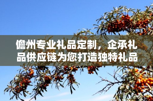 儋州专业礼品定制，企承礼品供应链为您打造独特礼品体验