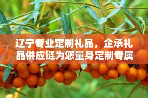 辽宁专业定制礼品，企承礼品供应链为您量身定制专属礼品